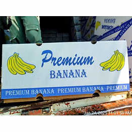 fresh indian g9 banana