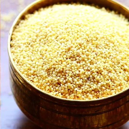 foxtail millet-1