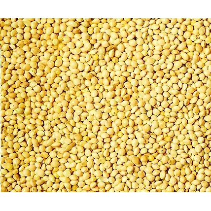 foxtail millet-2