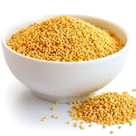 foxtail millet