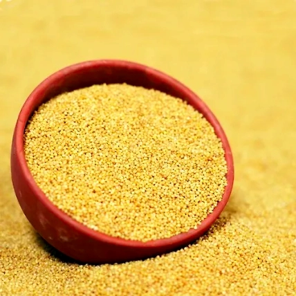 foxtail millet-4