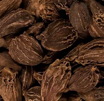 organic cardamom (black) large