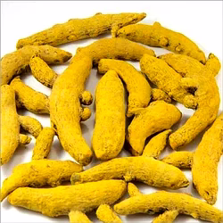 turmeric double polished finger best quality - salem