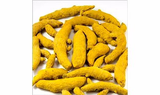 Turmeric double polished finger Best quality - Salem