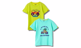 Boys T-Shirt Sulphur Spring Lime / Biscay Green, Soft Cotton, Ages 7-14 (2pcs pack)