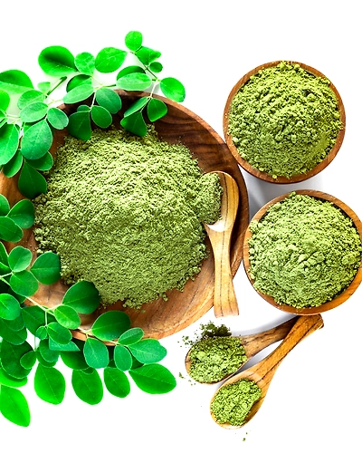 Moringa Powder-1