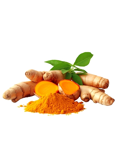 Turmeric Powder-3