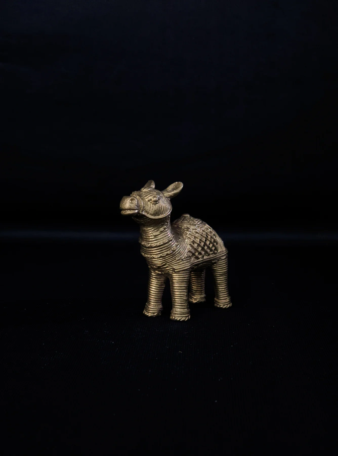 Handmade Dhokra Camel-Dhokra_44