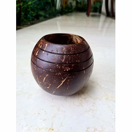 eco friendly coconut shell coconut indoor planter
