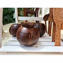 eco friendly coconut shell pot shape indoor planter