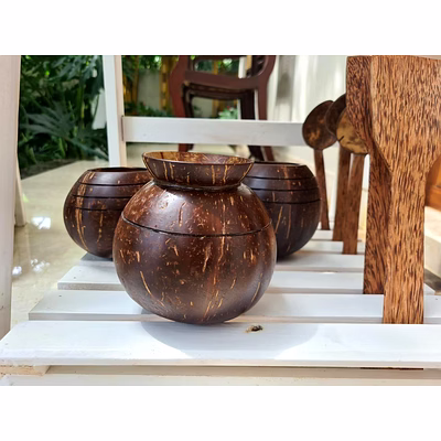 eco friendly coconut shell pot shape indoor planter