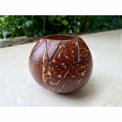 eco friendly coconut shell coconut indoor planter