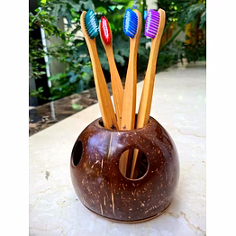 coconut shell tooth brush stand