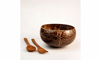 Eco friendly coconut shell PALM LEAF BOWL WITH CUTLERY