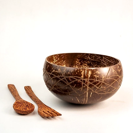 Eco friendly coconut shell PALM LEAF BOWL WITH CUTLERY-22_CS