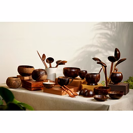 eco friendly coconut shell