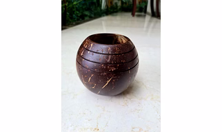 Eco Friendly Coconut Shell COCONUT INDOOR PLANTER