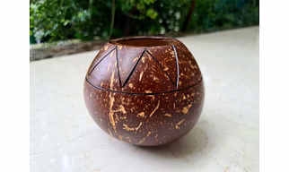 Eco Friendly Coconut Shell COCONUT INDOOR PLANTER