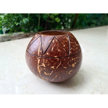 Eco Friendly Coconut Shell COCONUT INDOOR PLANTER-13_CS
