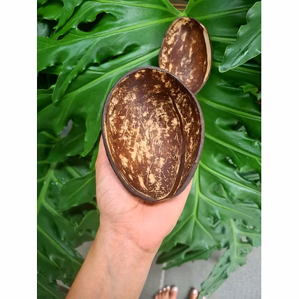 Eco Friendly Coconut Shell OVAL NATURAL FINISH BOWL-17_CS
