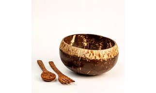 Eco Friendly Coconut Shell HAND CARVED BOWL WITH CUTLERY