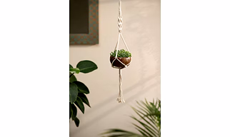 COCONUT HANGING PLANTER (SET OF 1 SHELL + 1 HANGER)