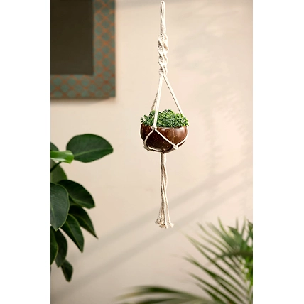 COCONUT HANGING PLANTER (SET OF 1 SHELL + 1 HANGER)-25_CS