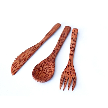 Eco friendly coconut shell COCONUT WOOD SPOON, FORK, KNIFE SET-27_CS