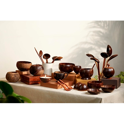 Eco friendly coconut shell-28_CS