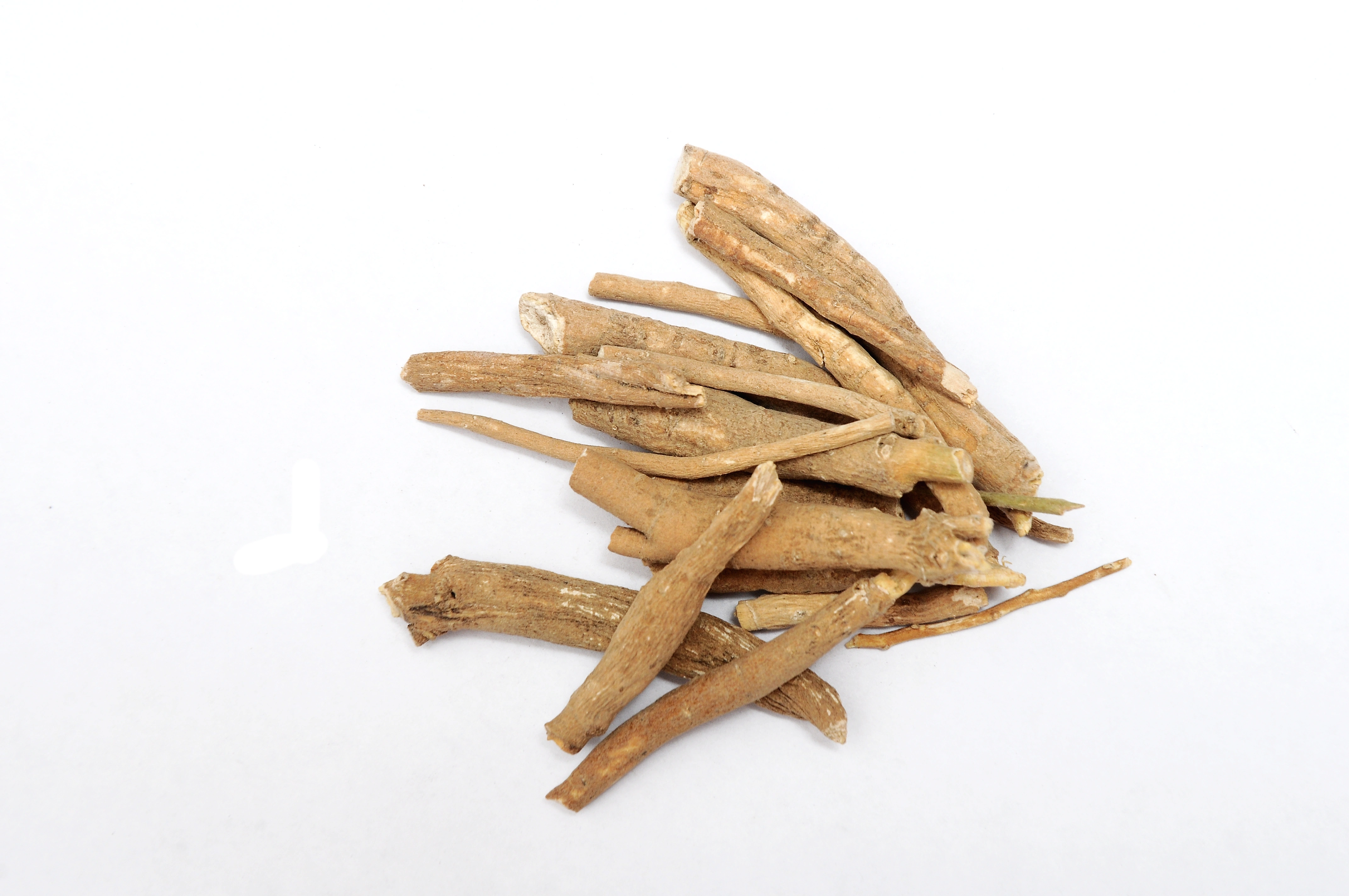 ASHWAGANDHA (Withania somnifera)-12516456