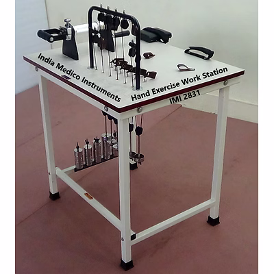 hand exercise work station