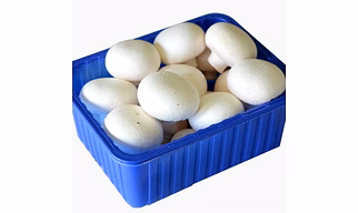White Button Mushroom