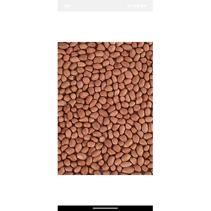 Peanut-4