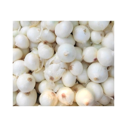 Indian Red &amp; White Onion-3
