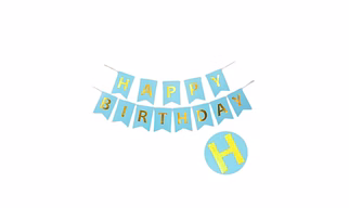 Happy Birthday Banner Light Blue V design