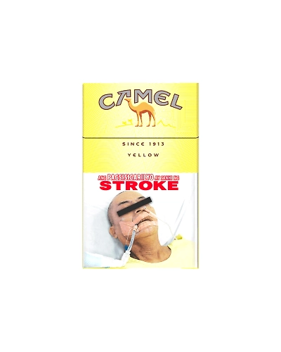Camel Flip-Top Box 20's-CIG-Cam-0456-x20s
