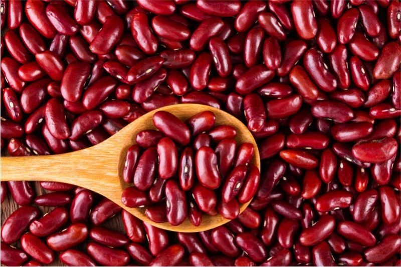 Red Kidney Beans-1003