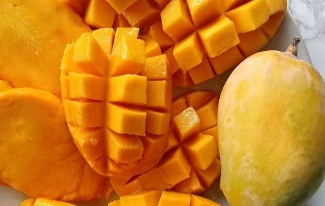 Premium Mango Pulp-1