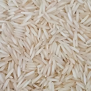 1121 Steam Basmati Rice