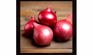 Nashik Red Onion