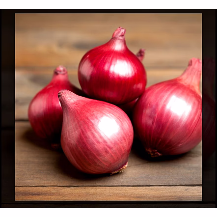 Nashik Red Onion