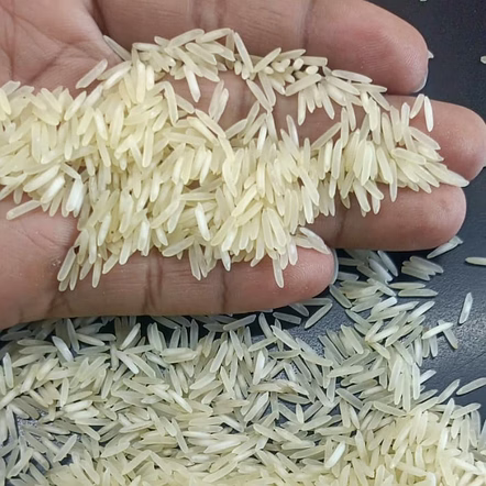 Pusa 1401 Steam Basmati Rice