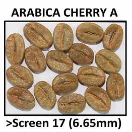 arabica cherry a