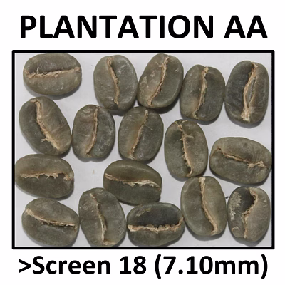 arabica plantation aa