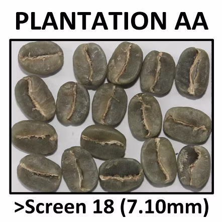 Arabica Plantation AA