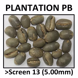 Green Coffee Arabica Planation PB