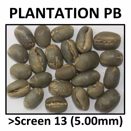 Green Coffee Arabica Planation PB