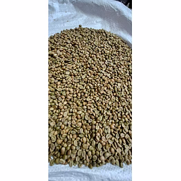 robusta coffee beans green grade aaa