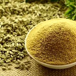 fennel seed powder – export grade