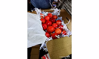Pomegranate